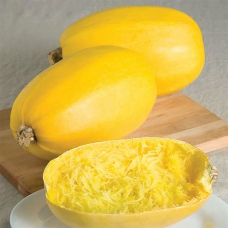 tykev špagetová 'Spaghetti Pyza'