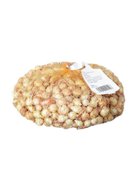 Cibule sazečka Snowball bílá 500 g
