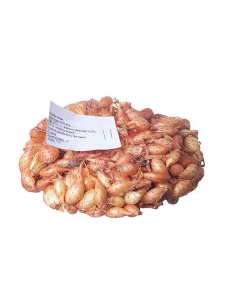 Cibule sazečka Všetana žlutá 500 g
