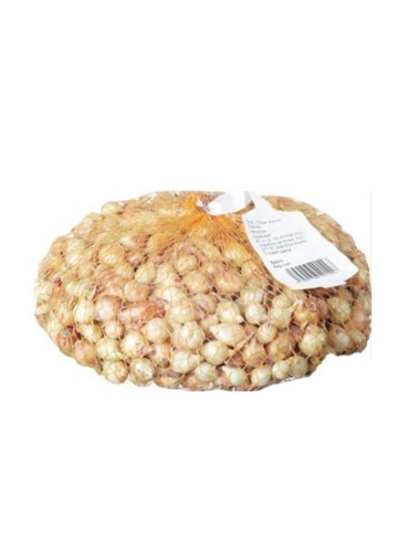 Cibule sazečka Štutgart 500 g