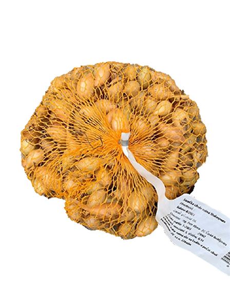 cibule sazečka Shakespeare ozimá 250 g