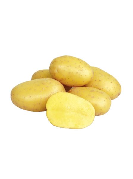 Brambory sadbové Antonia A polorané 5 kg