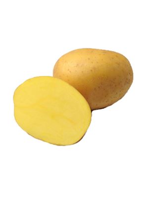 Brambory sadbové Anuschka A rané 5 kg