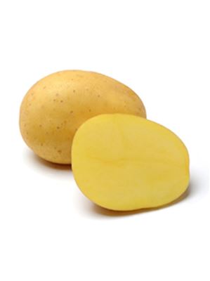 Brambory sadbové Belana A rané 5 kg