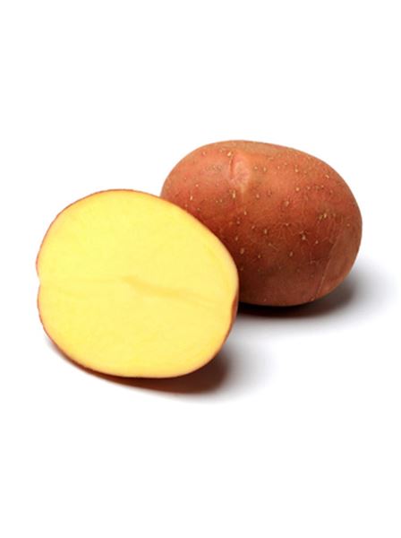 Brambory sadbové Bellarosa A velmi rané 5 kg