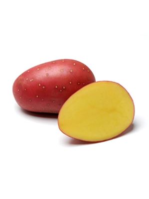 Brambory sadbové Laura A polorané 5 kg