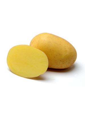 Brambory sadbové Marabel A rané 5 kg