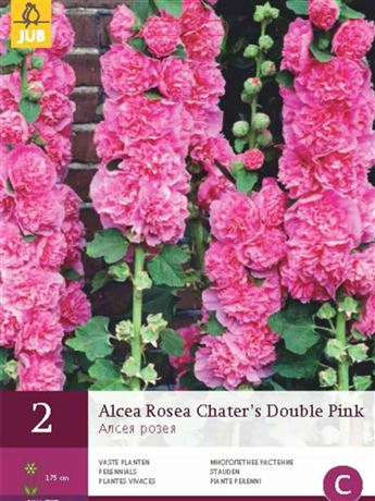 topolovka růžová 'Chater's Double Pink'