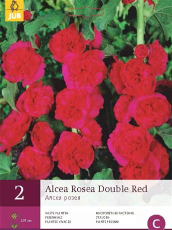 topolovka růžová 'Double Red'