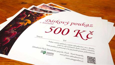 Dárkový poukaz 500 Kč (v tištěné podobě)