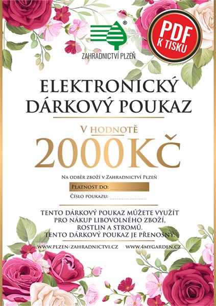 Dárkový poukaz elektronický 2000 Kč