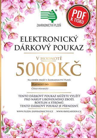 Dárkový poukaz elektronický 5000 Kč