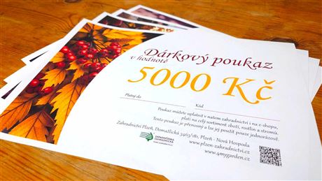 Dárkový poukaz elektronický 5000 Kč