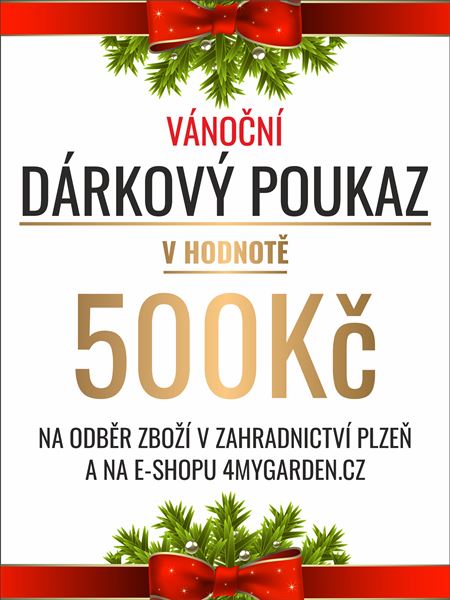 Vánoční dárkový poukaz elektronický 500 Kč