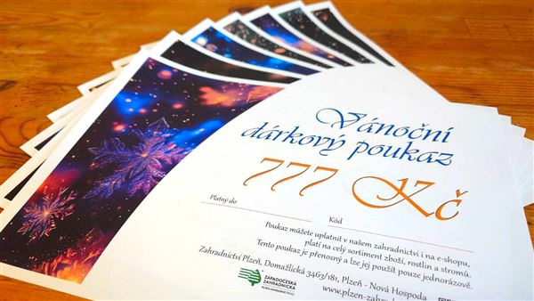 Vánoční dárkový poukaz elektronický 777 Kč