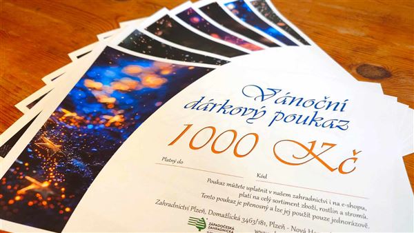 Vánoční dárkový poukaz elektronický 1000 Kč