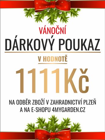 Vánoční dárkový poukaz elektronický 1111 Kč