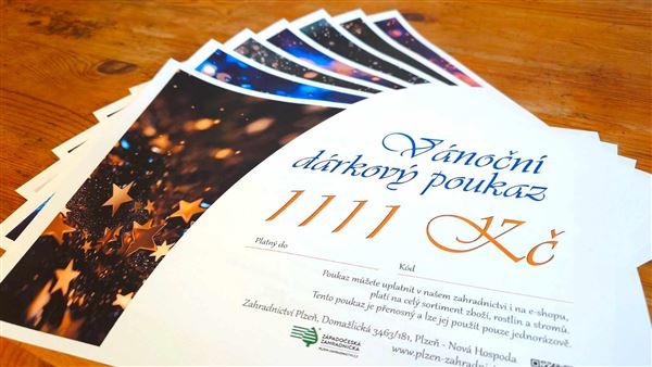 Vánoční dárkový poukaz elektronický 1111 Kč