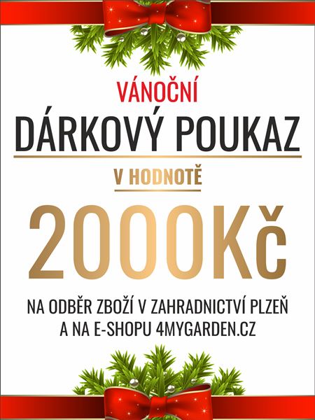 Vánoční dárkový poukaz elektronický 2000 Kč