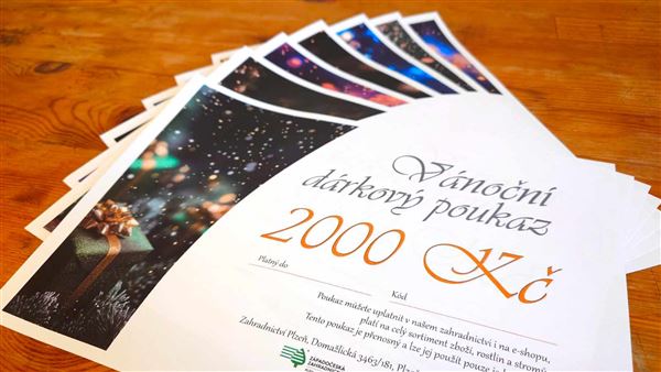 Vánoční dárkový poukaz elektronický 2000 Kč