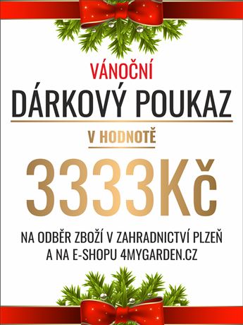 Vánoční dárkový poukaz elektronický 3333 Kč