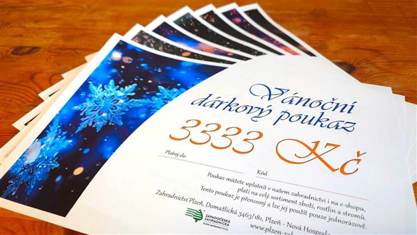 Vánoční dárkový poukaz elektronický 3333 Kč