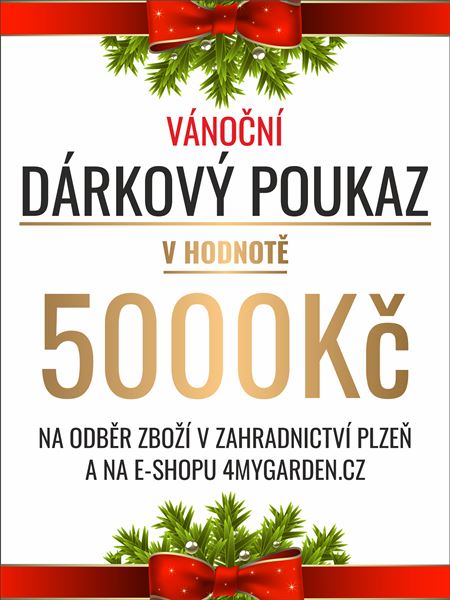 Vánoční dárkový poukaz elektronický 5000 Kč