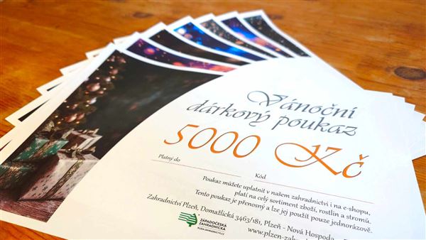 Vánoční dárkový poukaz elektronický 5000 Kč