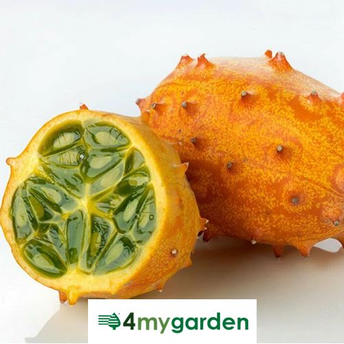 Kiwano