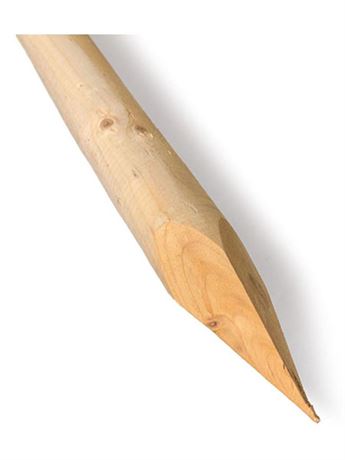 kůl ke stromů průměr 6 cm délka 250 cm