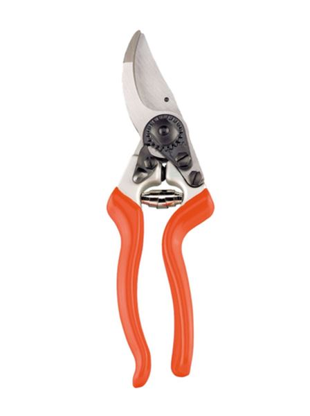 Nůžky zahradní Profi (Stocker) 22 cm