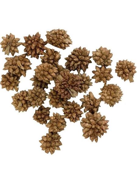 dekorace Star Flower 12 g	