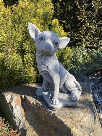 figurka 354 Čivava beton 31 cm