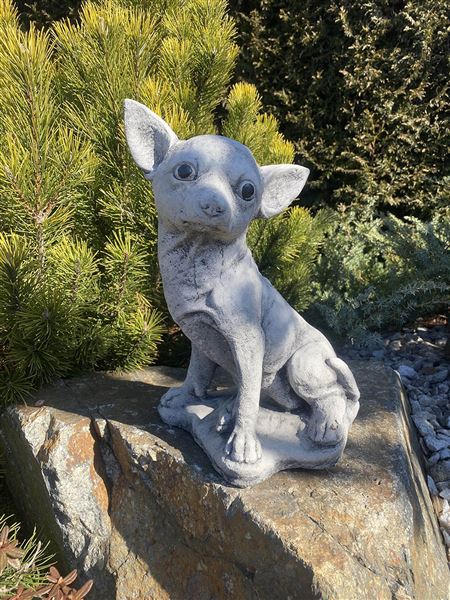 figurka 354 Čivava beton 31 cm