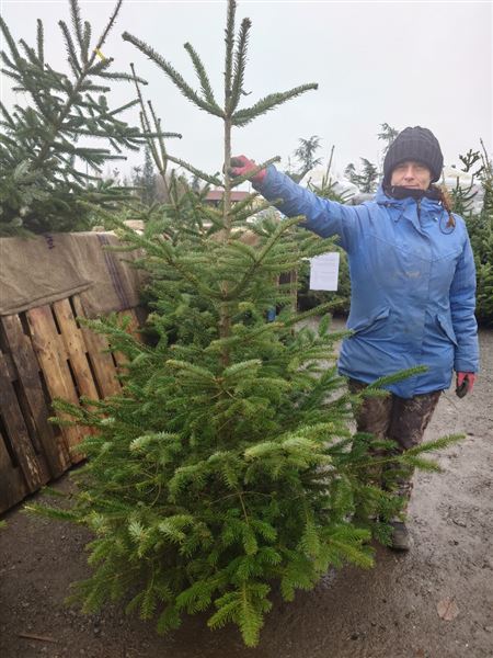 Vánoční stromek S