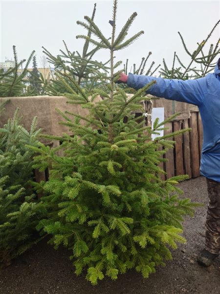 Vánoční stromek S