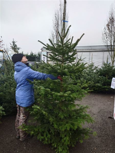 Vánoční stromek XL