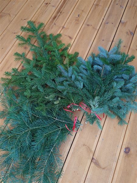 Svazek chvojí z jedle a smrku