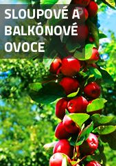 Sloupové a balkónové ovoce