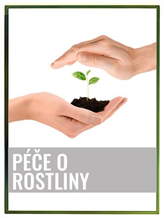 Péče o rostliny