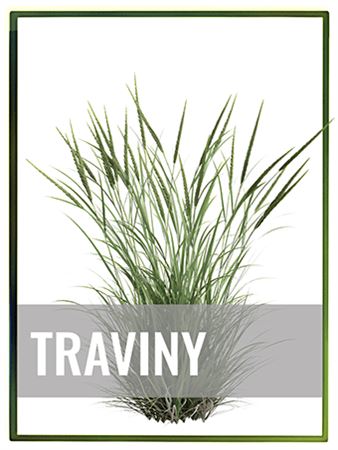 Traviny