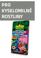 Pro kyselomilné rostliny