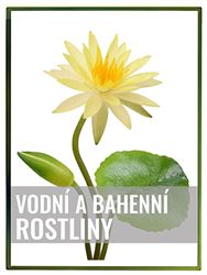 Vodní a bahenní rostliny