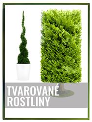 Tvarované rostliny