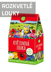 Rozkvetlé louky