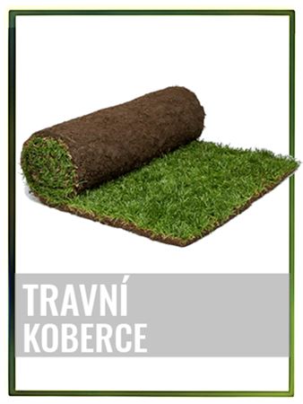 Trávníky