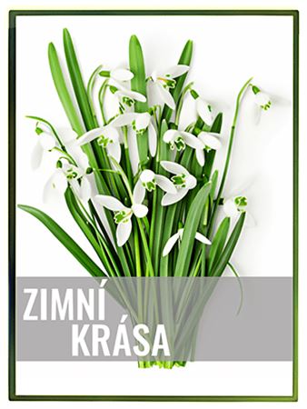 Zimní krása