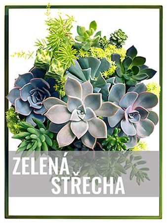 Zelená střecha