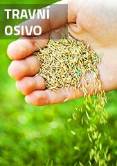 Travní osivo