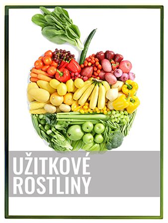 Užitkové rostliny